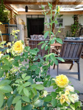 Studio S